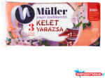  Papírzsebkendő 3 rétegű 100 db/csomag Kelet Varázsa (49846)