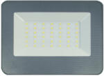 ORO ORO-DIODO-30W-G-CW LED REFLEKTOR, A+, 2550lm, 6500K (ORO16072) (ORO16072)