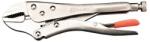 HARDEN Cleste Menghina cu Falci Drepte, Profesional, Harden, 250 mm (ZH560604) Cleste