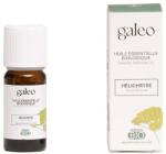 Galeo Szalmagyopár illóolaj - Galeo Organic Essential Oil Helichrysum Italicum 5 ml