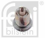 Febi Bilstein 13524 Bujii Bujie