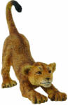 CollectA Figurina Pui de leu care se intinde S Collecta (COL88416S) - roua Figurina