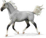CollectA Figurina pictata manual armasar Half Arabian Dappled Gri (COL88959Deluxe) - roua Figurina