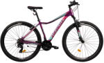 Colinelli 2922 29 Bicicleta