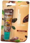 Himalaya балсам за устни, 10гр, Хидратиращ, Какао