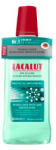 Theiss Naturwaren Apă de gură micelară protecție anti-tartru Lacalut, 500 ml, Theiss Naturwaren