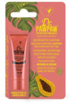 DRPAWPAW Balsam multifunctional, nuanta Peach x 10ml, Dr PawPaw