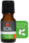SOIL Ulei Esențial Busuioc Pur 100% Organic, 10 ml, SOiL