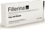 FILLERINA Tratament pentru buze si conturul buzelor Grad 4 Plus Fillerina 932, 7 ml, Labo