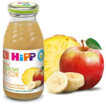 HiPP Suc de mere cu banana si ananas, 200 ml, Hipp