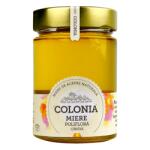 Evicom Honey Miere de ploriflora cruda Colonia, 420 g, Evicom Honey