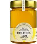 Evicom Honey Miere de salcam cruda Colonia, 420 g, Evicom Honey