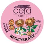 CETA SIBIU Unguent regenerant, 40 g, Ceta Sibiu