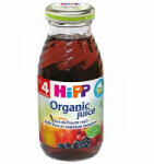 HiPP Suc de fructe roșii, +4 luni, 200 ml, Hipp