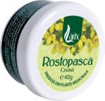LARIX Crema cu Rostopasca, 40 g, Larix