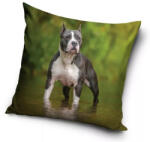  Kutyás Amstaff párnahuzat 40x40 cm (CBX195004PD) - oliviashop