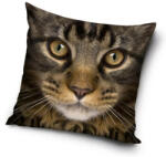  Cicás párnahuzat 40*40 cm (CBX191062PD)