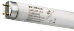 Sylvania Tub fluorescent 14W T8 4000K 361mm F/840 0000137 Sylvania (0000137)