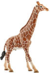 Schleich Figurina Schleich, Girafa mascul (4005086147492) Figurina