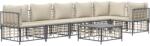 vidaXL Set mobilier de grădină cu perne, 7 piese, antracit, poliratan (3186756)