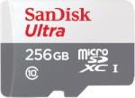 SanDisk Ultra R100 microSDXC 256GB UHS-I/C10 (SDSQUNR-256G-GN3MN)
