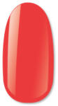 NiiZA Gel Polish 4ml - 417 - jolifodraszkellek