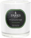 Parks London Lumânare parfumată - Parks London Aromatherapy Lily of the Valley Candle 220 g