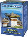Everest Ayurveda Reuma és izületek tea 100 g