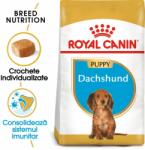 Royal Canin Royal Canin Dachshund (Teckel) Puppy, 1.5 kg