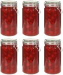 vidaXL Borcane depozitare, 6 buc. , 1000 ml, închidere clips (50850)