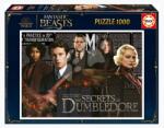 Educa Puzzle Fantastic Beasts Educa 1000 darabos és Fix ragasztó (19493)