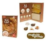 Keycraft Kit paleontologie - descopera fosile (SC250) - ookee