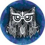  Festés számok szerint - Illusztráció bagolyról Méret: 50x50cm, Keretezés: Kerek keret