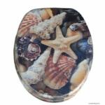 Kermix 3D mintázatú tengeri kagylós MDF WC ülőke rozsdamentes fémzsanérral (354195)