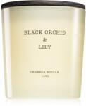 Cereria Mollá Boutique Black Orchid & Lily illatgyertya 600 ml