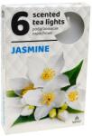 ADMIT Lumânări tip pastilă Iasomie, 6 bucăți - Admit Scented Tea Light Jasmine