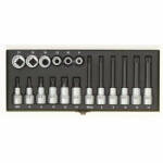 PROXXON Set special cu 18 piese pentru suruburile XZN (23296) - utilajedesantier Set capete bit, chei tubulare