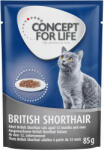 Concept for Life 12x85g Concept for Life British Shorthair Adult nedvestáp- száraztáphoz kiegészítés