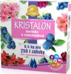 AGRO Kristalon Rhododendron és áfonya 0, 5 kg (000504) - epenta