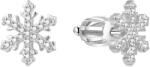 Beneto Ezüst fülbevalók Hópelyhek AGUP1596S