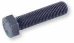  hatlapfejűcs 10.9 m18x 80 natur tm din-933