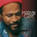 Marvin Gaye - Collected - Martin Gaye (Gatefold Sleeve) (2 LP) (600753502525)