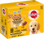 PEDIGREE Pedigree Multipack Junior - Varietăți în gelatină: 24 x 100 g