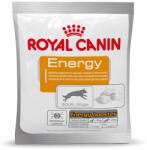 Royal Canin Royal Canin Energy - 4 x 50 g
