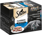 Sheba Sheba Varietăți pachet jumbo tăvițe 96 x 85 g - Classics în pate