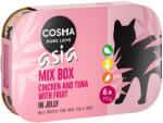 Cosma Cosma Pachet economic Asia în gelatină 24 x 170 g - mixt Fruit (3 sortimente)
