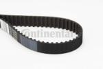 CONTITECH CT1031 Curea de distributie