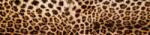  Leopárd, konyhai matrica hátfal, 260 cm (DMKI260-069)
