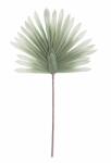 Bizzotto Set 12 frunze artificiale verzi 45x95 cm (0170056)