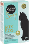 Cosma Soup Mix Box 4x40 g